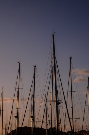 Silhouette Masts of Sail Yacht in a Marine