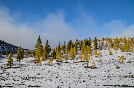 Winter Landscape on the High Mountain Rangeの写真素材