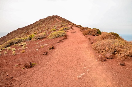 Tropical beach in Tenerife Canary Islands Spainの写真素材