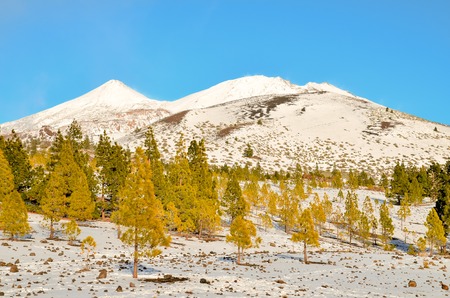 Winter Landscape on the High Mountain Rangeの写真素材