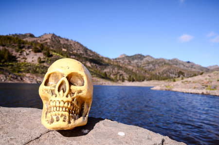 Abandoned Human Skull on the Volcanic Rock