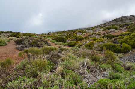 Road on Cloudy Day in El Teide National Park Tenerife Canary Islands Spainの写真素材