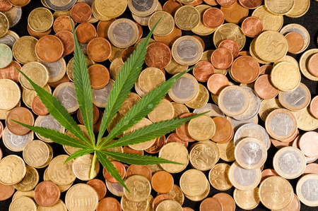 Picture of Marijuana and Money Cannabis Business Conceptの写真素材