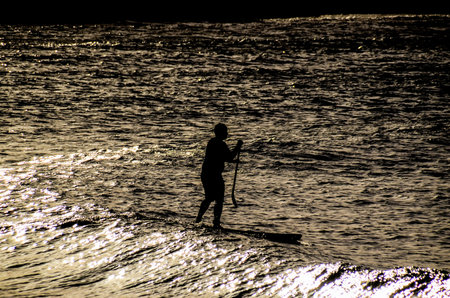 Silhouette Surfer at Sunset in Tenerife Canary Island Spain