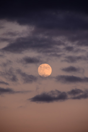 Moon Closeup Showing the Details of Lunar Surface.の写真素材