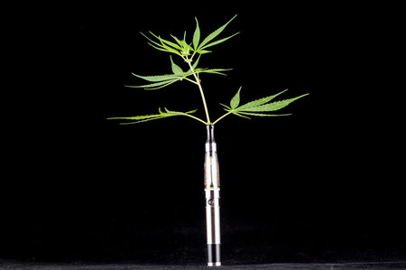Modern Metal Electronic Cigarette E Cig Vaporizer and Cannabis