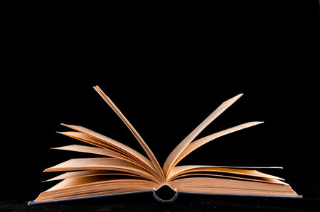 Picture of an Old Vintage Grunge Book