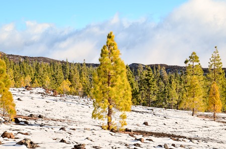 Winter Landscape on the High Mountain Rangeの写真素材