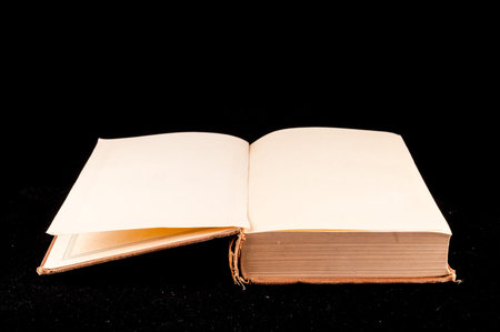 Picture of an Old Vintage Grunge Book