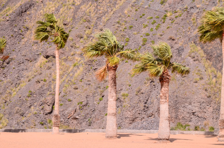 Teresitas Beach in Tenerife, Canary Islands, Spainの写真素材