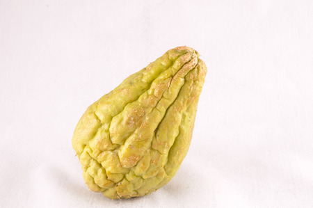 Chayote (Sechium Edule) is a Vegetable Native of South Americaの写真素材