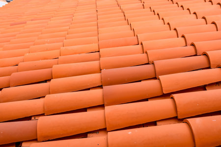 Photo Picture of Tiles on the Building Roof Texture