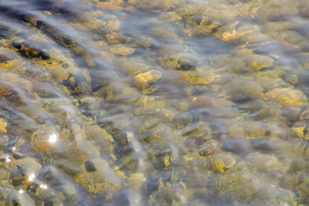 Picture of the Water Pattern Texture Background