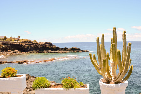 Photo Picture of the Beautiful Ocean Coast's Viewの写真素材