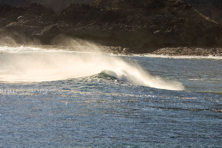 Empty Tropical Beach in the Canary Islands