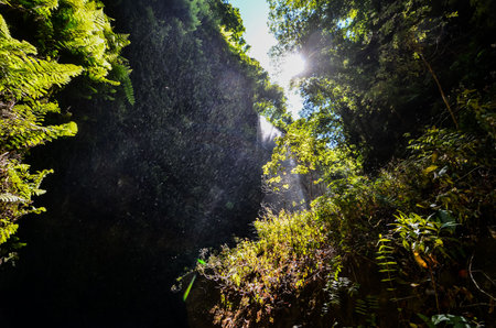 Photo Picture of a Valley in the Canary Islandsの写真素材
