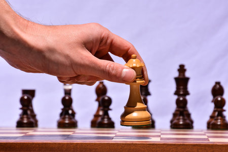 Photo Picture of the Classic Wooden Chess Piece