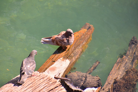 Photo Picture of the Medieval City Bassano del Grappaの写真素材