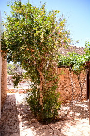 Interior Of An Abandoned House in Canary Islands Spainの写真素材