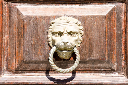 Photo Picture of lion's head on an wooden doorの写真素材