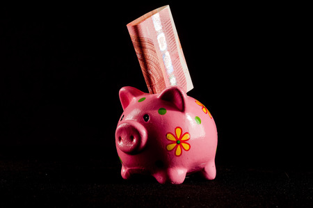 Picture of a Business Money Concept Idea Piggy Bankの写真素材