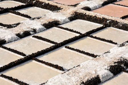 Picture Photo of Salt Flats in the Canry islandsの写真素材