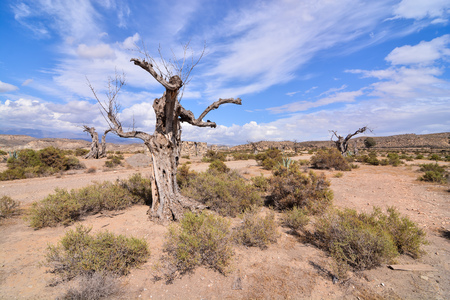 View of the Desert Tabernas in Almeria Province Spainの写真素材