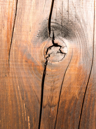Photo Picture of the Beautiful Wood Background Textureの写真素材