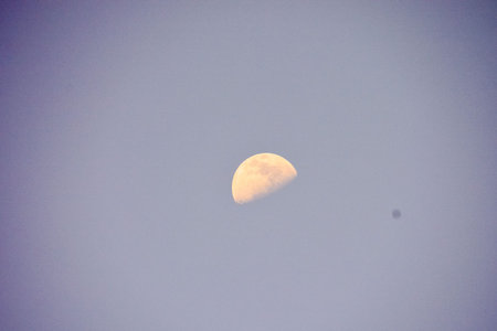 Photo Picture of the Moon in Night Sky