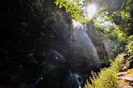 Photo Picture of a Valley in the Canary Islandsの写真素材