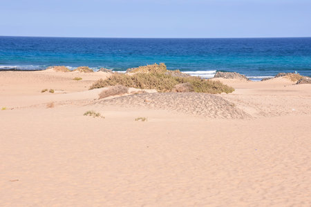 Photo Picture of the Beautiful Sand Ocean Beach