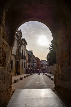 View of the Historical City Granada Andalucia Spainの写真素材