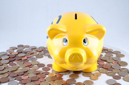Picture of a Business Money Concept Idea Coins and Piggy Bankの写真素材