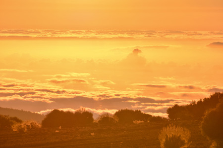 Sun Setting on the Atlantic Ocean in Tenerife Canary Island Spainの写真素材