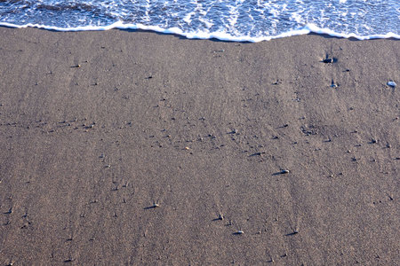 Dry Lava Coast Beach in the Atlantic Ocean