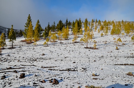 Winter Landscape on the High Mountain Rangeの写真素材