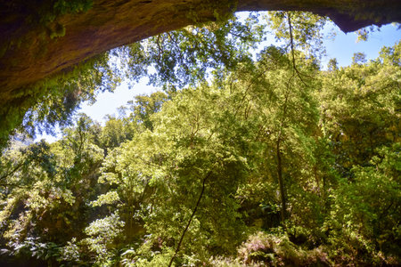Photo Picture of a Valley in the Canary Islands