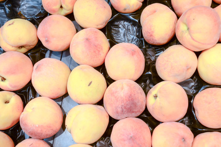 Photo picture of Fruit Background Texture Patternの写真素材