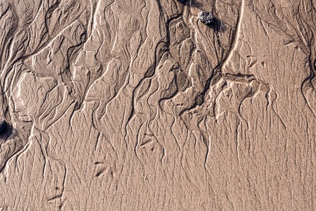 Photo Picture of the Texture Sand Dune Desertの写真素材