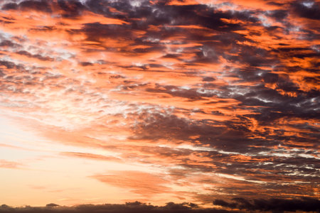 Photo Picture of a Beautiful Colored Sunset