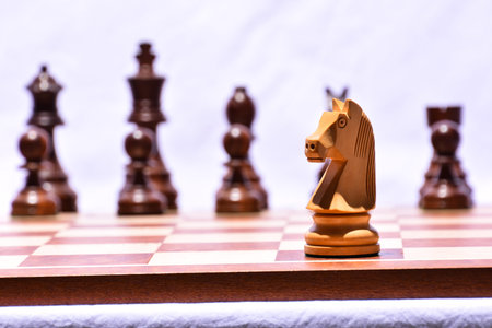 Photo Picture of the Classic Wooden Chess Piece