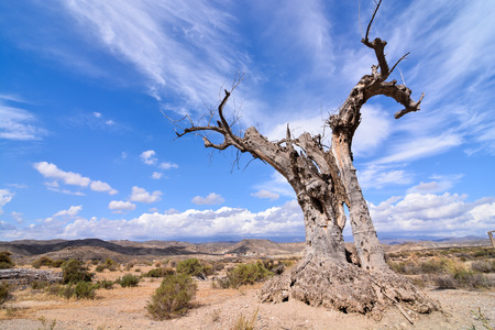 View of the Desert Tabernas in Almeria Province Spainの写真素材