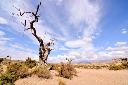 View of the Desert Tabernas in Almeria Province Spain
