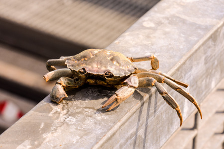 Photo pictureLandscape of The Po Delta River in Italyの写真素材