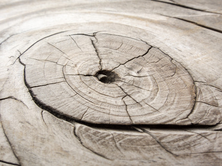 brown wooden texture.の写真素材
