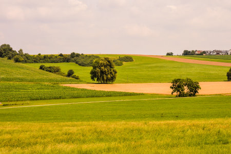 Photo Picture View of Cultivated Field in the countryside