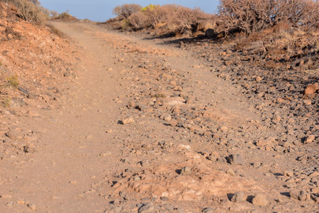 Long Straight Dirt Desert Road disappears into the Horizon.