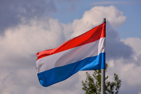 Photo Picture of a Moving french Flag in the Wind