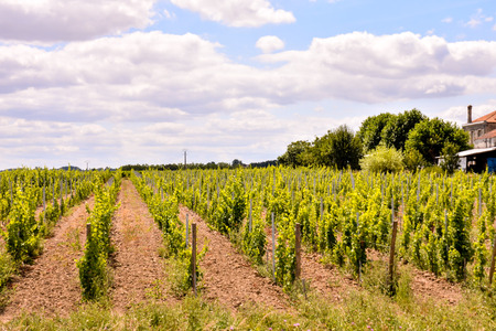 Photo Picture Scenic photography landscape European natural countrysideの写真素材