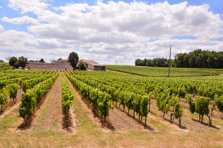 Photo Picture Scenic photography landscape European natural countrysideの写真素材